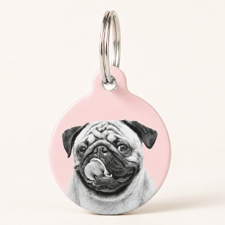 Placa Para Mascotas Retrato de foto de mascota personalizada Perro Gat