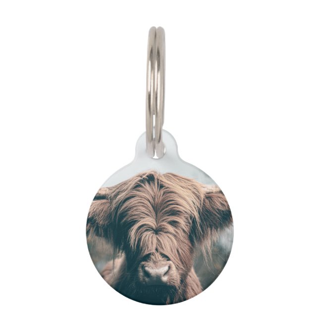 Placa Para Mascotas Retrato de vaca Highland (Anverso)