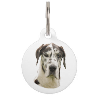 Placa Para Mascotas Retrato del mascota de great dane del Harlequin