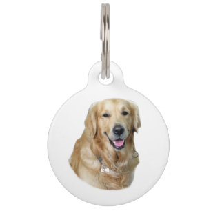 Placa Para Mascotas Retrato fotográfico de perro de Golden Retriever