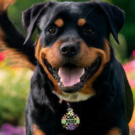 Placa Para Mascotas Retro Daisies de los años 1970