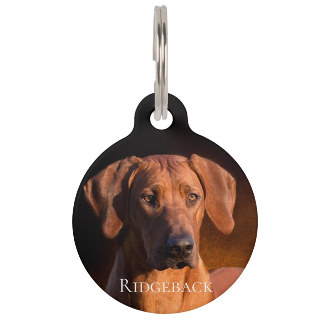 Placa Para Mascotas Rhodesian Ridgeback (Anverso)