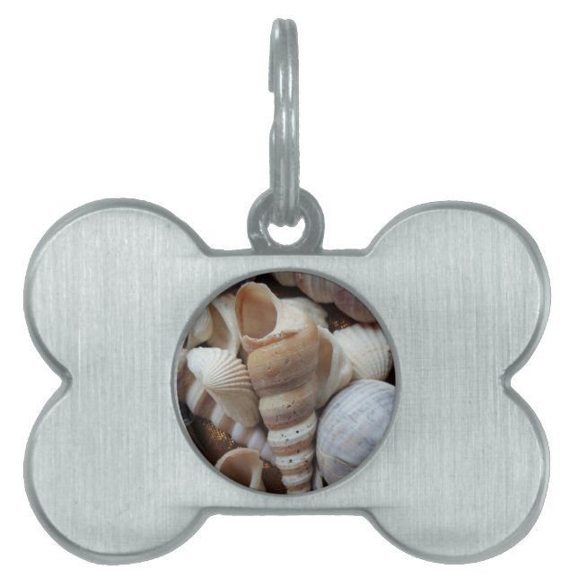 Placa Para Mascotas Romántico Tropical Exótico de las conchas de mar P (Frente)