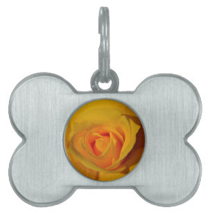 Placa Para Mascotas Rosa amarilla