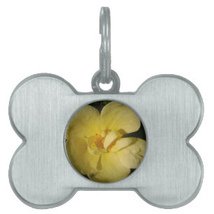 Placa Para Mascotas Rosa amarillo salvaje