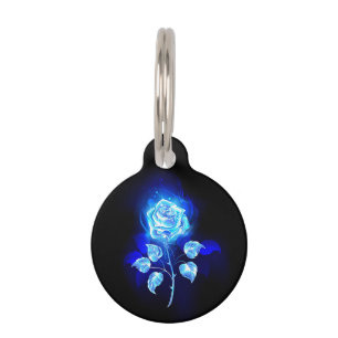 Placa Para Mascotas Rosa azul en llamas