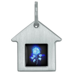 Placa Para Mascotas Rosa azul en llamas