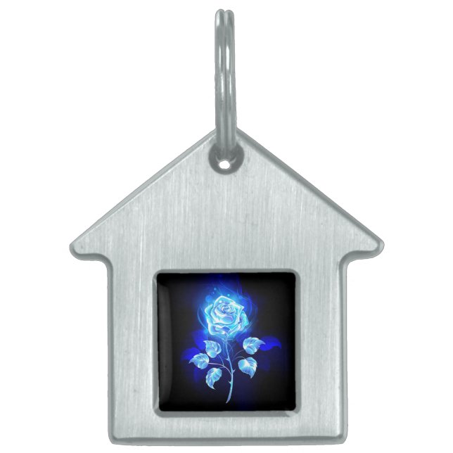 Placa Para Mascotas Rosa azul en llamas (Frente)