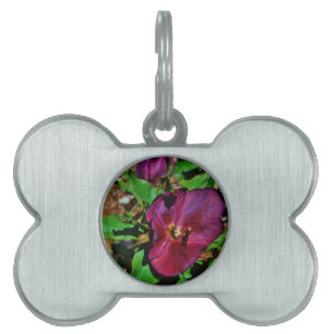 Placa Para Mascotas Rosa de Cuaresma Rosa Borgoña