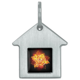Placa Para Mascotas Rosa de incendios en auge