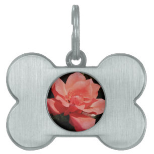 Placa Para Mascotas rosa de melocotón y gotas de lavado
