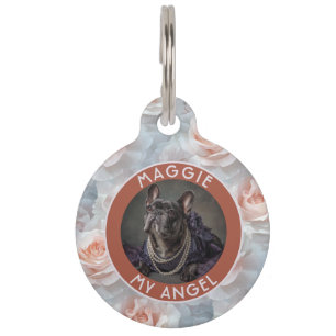Placa Para Mascotas Rosa de regalo temática de mascota colorida
