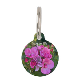 Placa Para Mascotas Rosa Lavanda Rosa