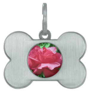Placa Para Mascotas Rosa Roja