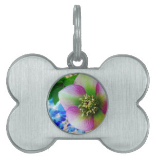 Placa Para Mascotas Rosa rosa de Cuaresma bola de vidrio azul