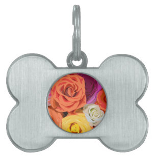 Placa Para Mascotas Rosas