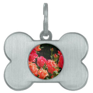 Placa Para Mascotas Rosas de coral románticos