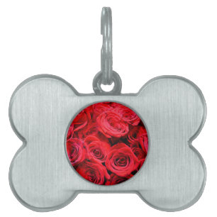 Placa Para Mascotas Rosas elegantes de flores de flores rojas