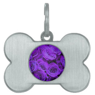Placa Para Mascotas rosas violeta romántico violeta, ramo de rosa boni