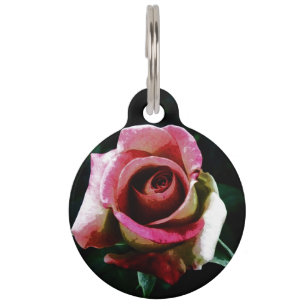 Placa Para Mascotas rose