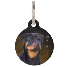 Placa Para Mascotas Rottweiler