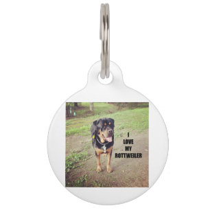 Placa Para Mascotas rottweiler love w pic tan