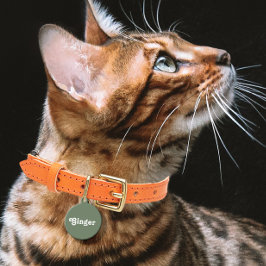 Placa Para Mascotas Sage Green