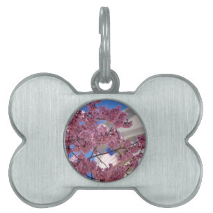 Placa Para Mascotas Sakura Cherry florece Americana