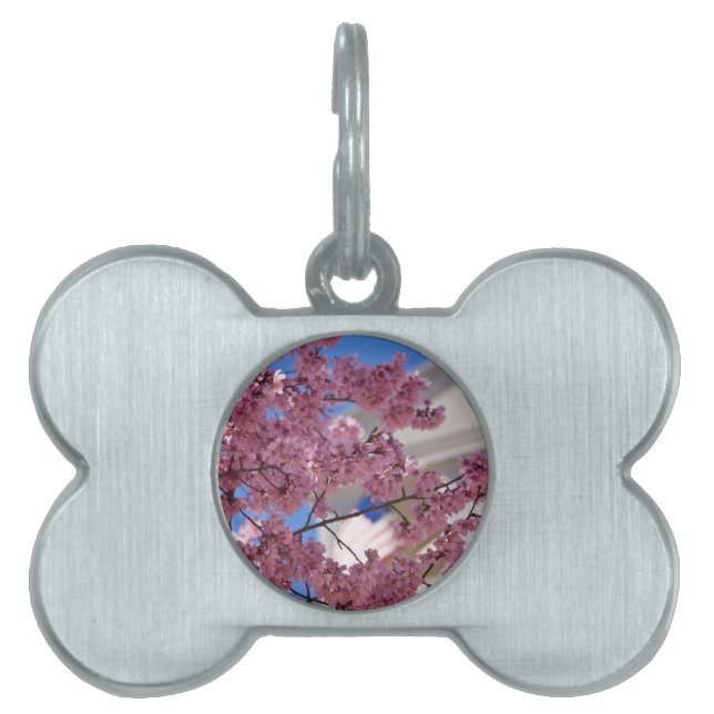 Placa Para Mascotas Sakura Cherry florece Americana (Frente)