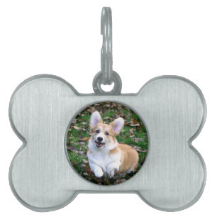 Placa Para Mascotas Salto de Perro Corgi Cute