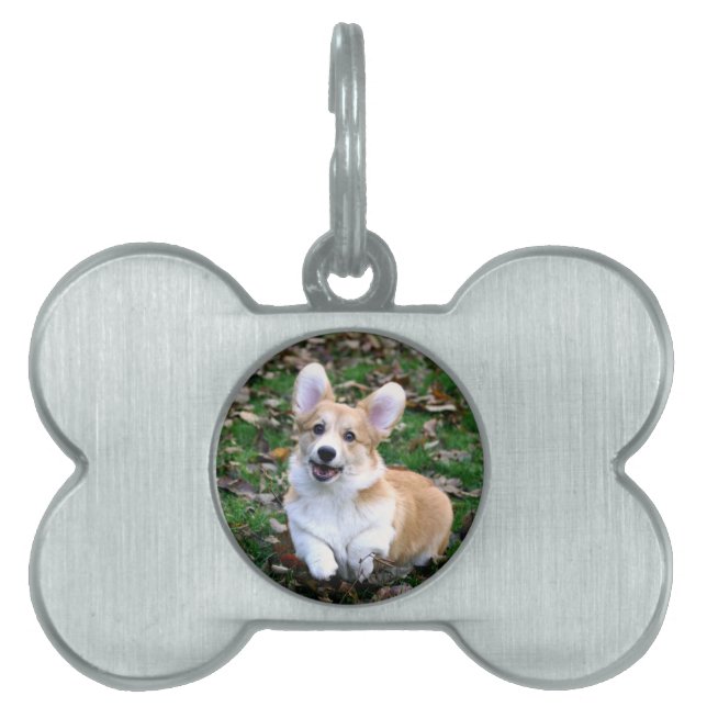Placa Para Mascotas Salto de Perro Corgi Cute (Frente)