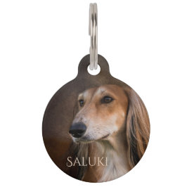 Placa Para Mascotas Saluki