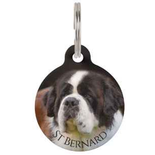 Placa Para Mascotas San Bernardo