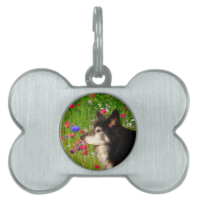 Placa Para Mascotas San Valentín Fronterizo con flores hermosas (Frente)