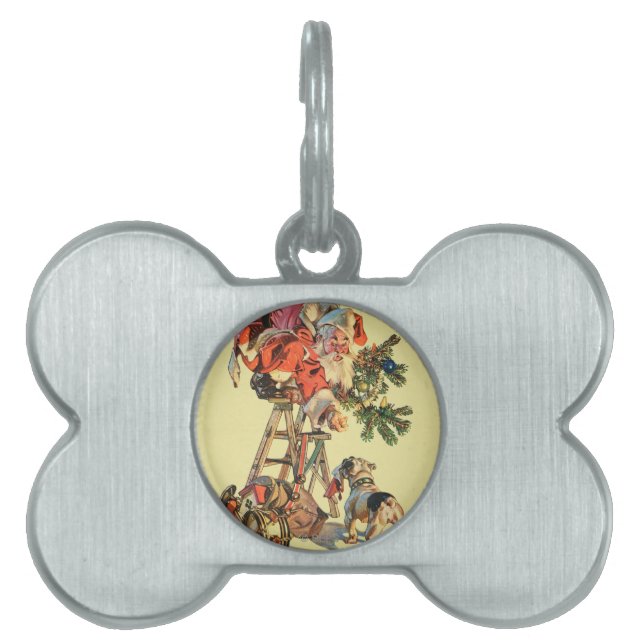 Placa Para Mascotas Santa encima de una escalera (Frente)