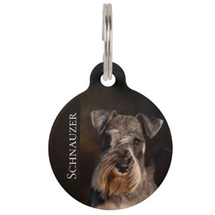 Placa Para Mascotas Schnauzer miniatura