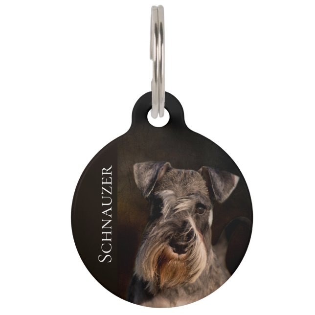 Placa Para Mascotas Schnauzer miniatura (Anverso)