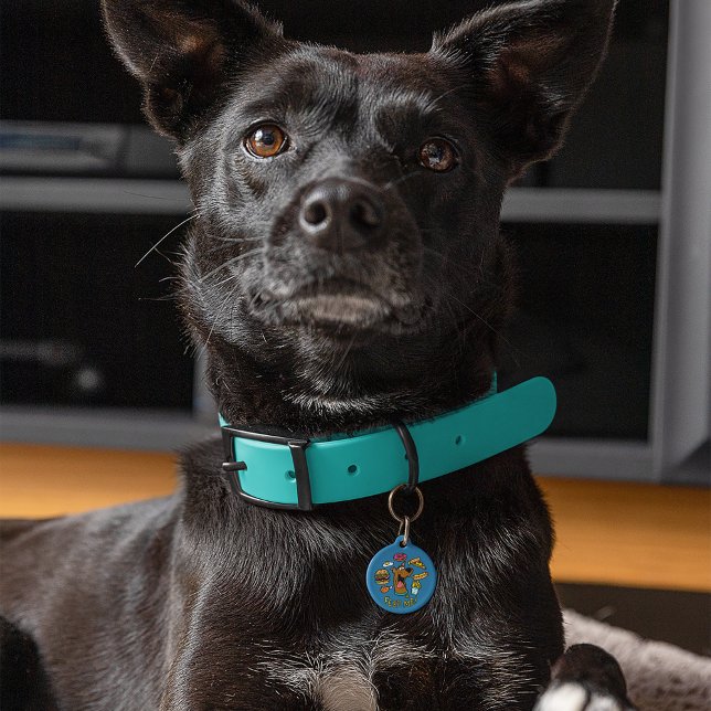 Placa Para Mascotas ¡Scooby-Doo Alimentarme! (Subido por el creador)