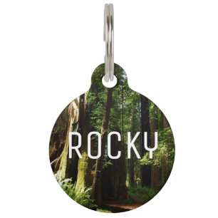 Placa Para Mascotas secuoyas y helechos