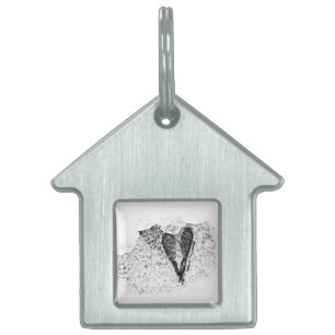 Placa Para Mascotas semillas heladas enamoradas
