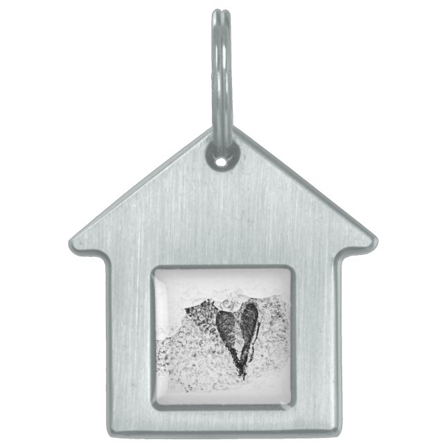 Placa Para Mascotas semillas heladas enamoradas (Frente)