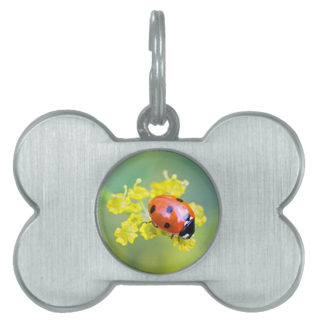 Placa Para Mascotas señora de arriba (Frente)