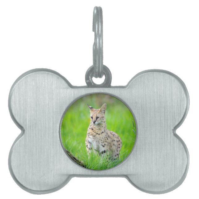 Placa Para Mascotas Serval en el césped (Frente)