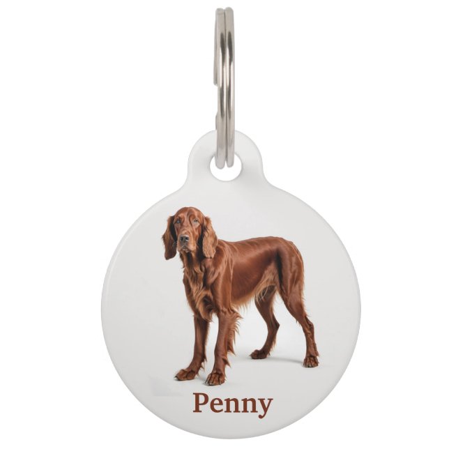Placa Para Mascotas Setter Irlandés Personalizado (Anverso)