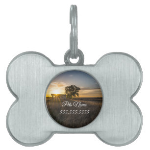 Placa Para Mascotas Shed Abandonada Colorado Sunset Pet Etiqueta