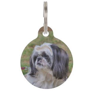 Placa Para Mascotas Shih Tzu