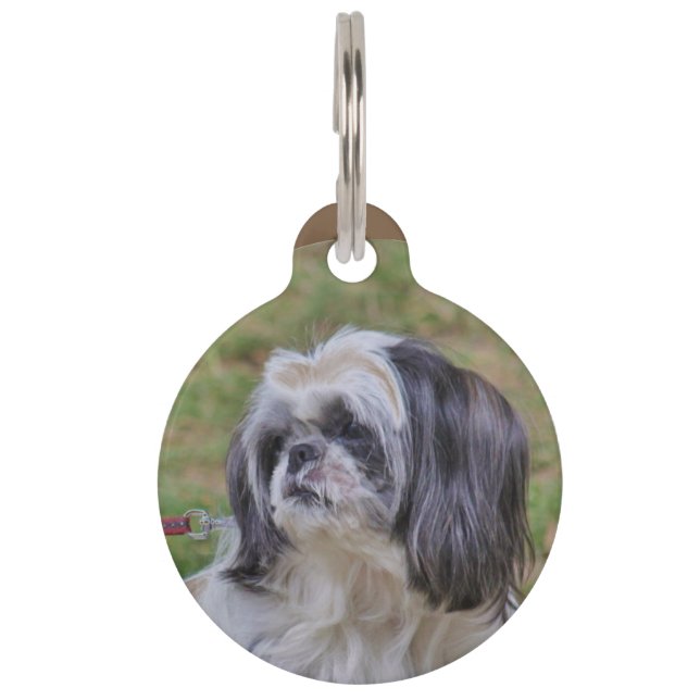 Placa Para Mascotas Shih Tzu (Anverso)