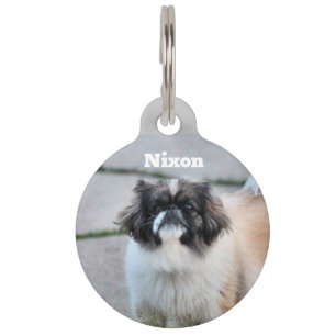 Placa Para Mascotas Shih Tzu