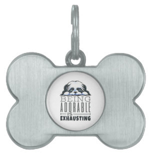 Placa Para Mascotas Shih Tzu Ser Adorable