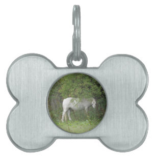 Placa Para Mascotas Shy White Horse Pet Tag
